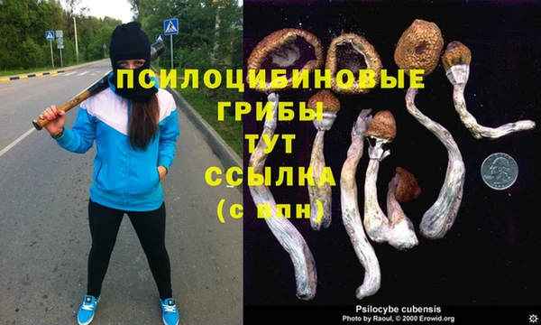 ПСИЛОЦИБИНОВЫЕ ГРИБЫ Михайловск