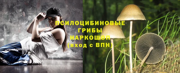 ПСИЛОЦИБИНОВЫЕ ГРИБЫ Михайловск